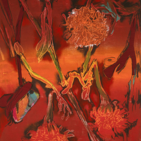 Marigolds 2